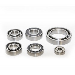 BFT KIT CUSCINETTI PER MOTORE INTERRATO ELI250 ELI AC/BT A40 - 2609517