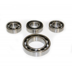 BFT BEARING KIT FOR ELI 250 BT / ELI BT A35V INTERNAL MOTOR - 2609555