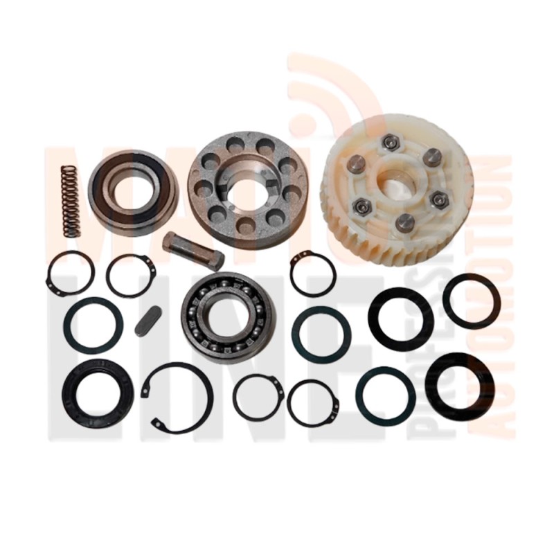 KIT DE RÉDUCTION BFT POUR MOTEUR ICARO ASSEMBLÉ AVEC PORTAIL COULISSANT 2601442 KIT DE RÉDUCTION BFT POUR MOTEUR ICARO ASSEMBLÉ AVEC PORTAIL COULISSANT 2601442