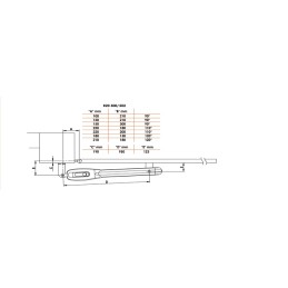 ROGER KIT R20/310 230V AC IRREVERSIBILE PER CANCELLI A BATTENTE FINO A 2,5 M CON 1 FINECORSA A MICROSWITCH